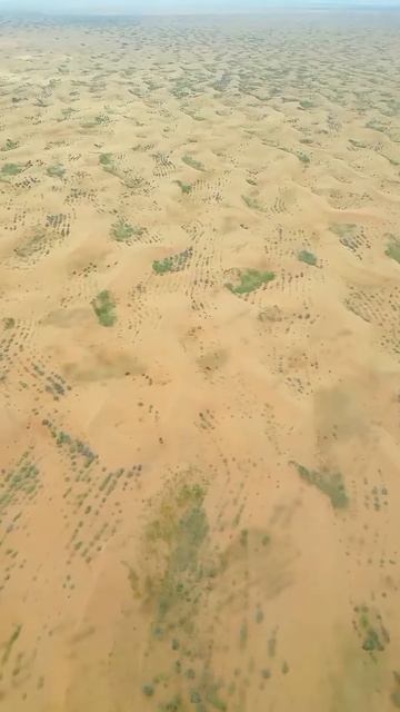 why they are drilling and desert