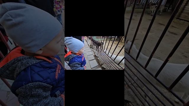 Зоопарк. Город Таганрог