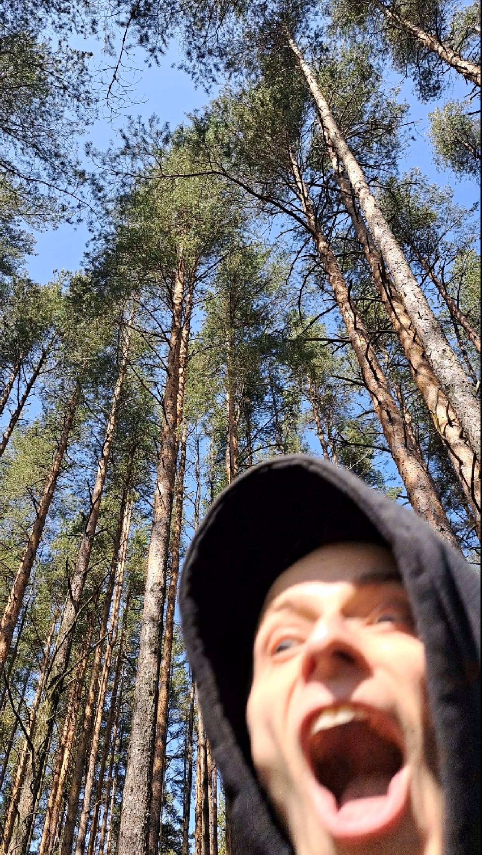 Экотропа 🌳 в Ленинградской Области 🍀