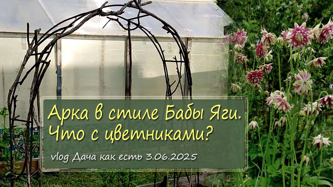 Оформление старой арки, фонарики. Сад постепенно преображается / vlog Дача как есть 3.06.2025