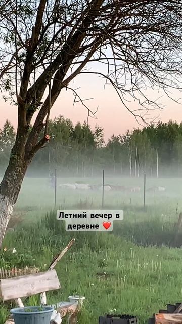 Деревенское лето❤️ #деревня #cat #озеро #костер #рыбалк?