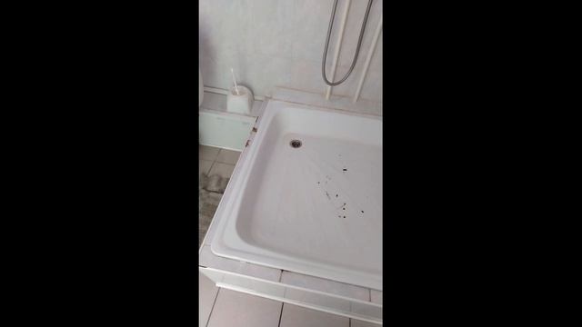 Хирургическое отделение г.Гай