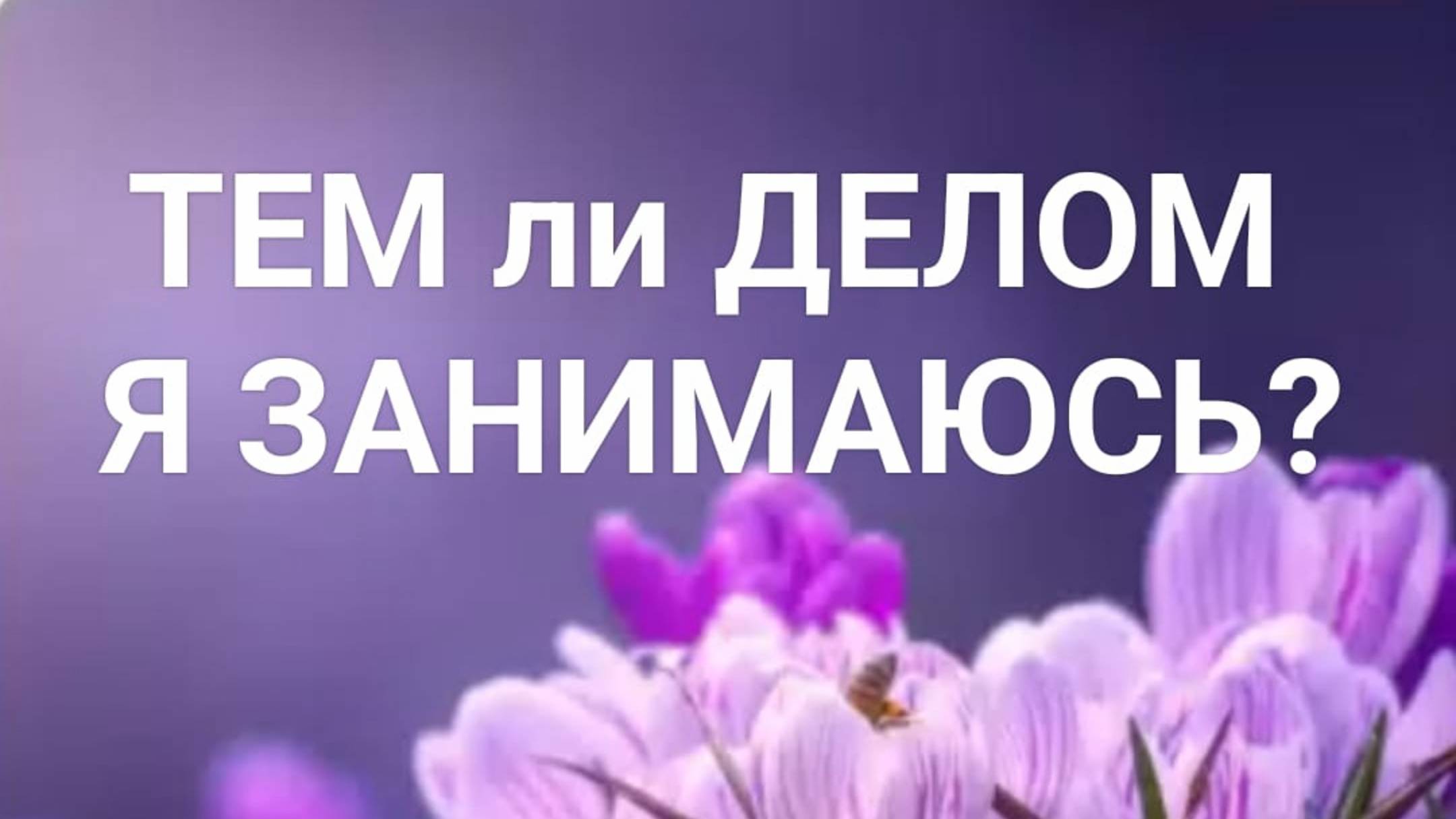 🪷Тем ли ДЕЛОМ Я ЗАНИМАЮСЬ?🪷