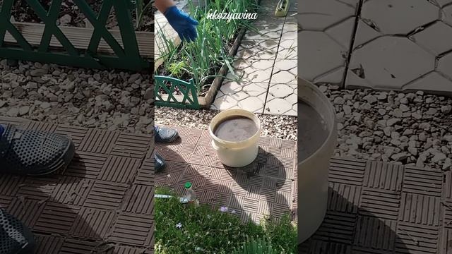 Добавьте это в золу и она станет в 100 раз эффективней
