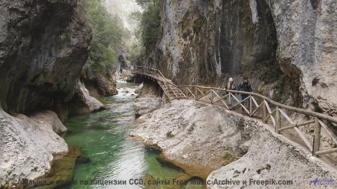 Природа и музыка объединились - смотри срочно - Каракатица -- Александр Недугин -- Яжык Эжопа