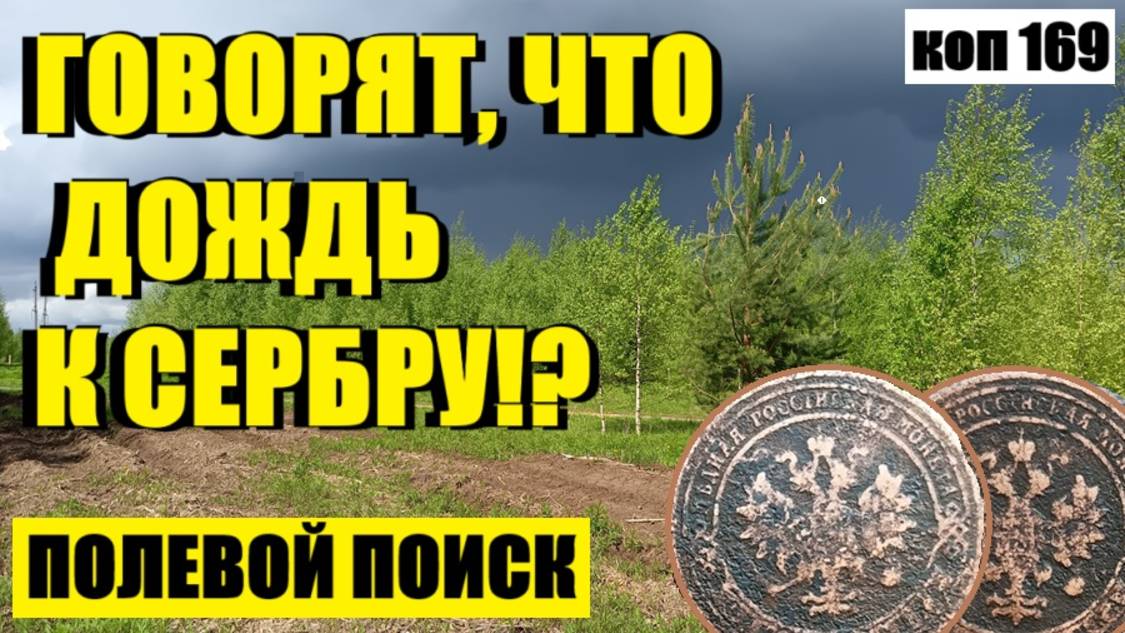 или НЕ СОВСЕМ ТО , ЧТО ХОТЕЛОСЬ НО ОНИ ЕСТЬ.. коп 169