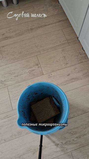 🌿3 способа обеззараживания грунта