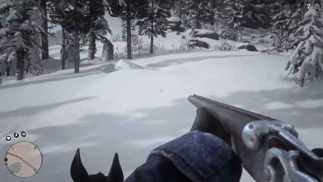 Red Dead Redemption 2_природа зима.