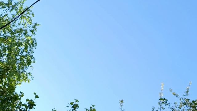 Полет птиц для вдохновения🦅🦅🥰 Посмотрите, они как будто танцуют 😍