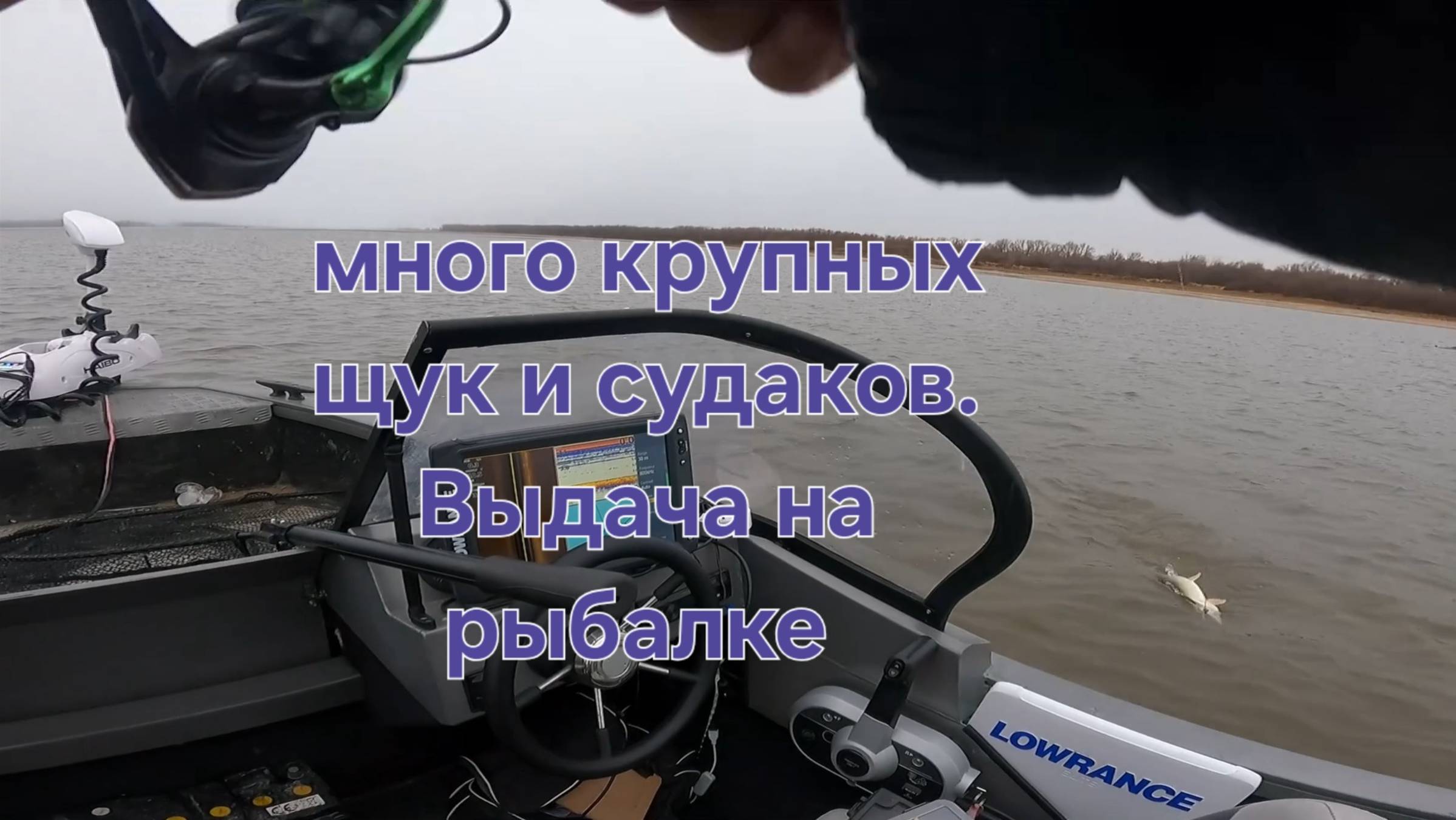 Крупные Судаки и Щуки на джиг. Две щуки за хвост подряд. Рыбалка
