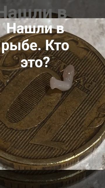 это чудо было найдено в рыбе. Сима. Кто это?