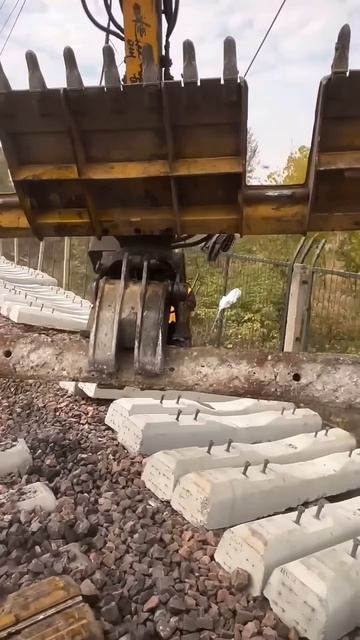 Train service #shortsvideo