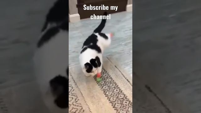 Кот в сапогах