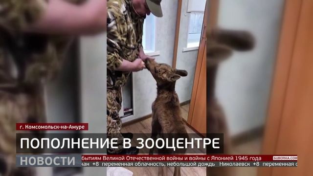 Зооцентр «Питон»: новые постояльцы. Новости. 05/06/2025. GuberniaTV
