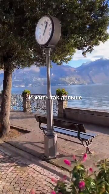 Жаловаться легко. Действовать – выбор 👇 #shorts #мотивация #заработок #деньги #успех #бизнес