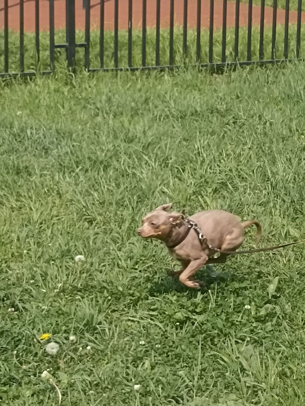 делаем току боку :)))).  :3