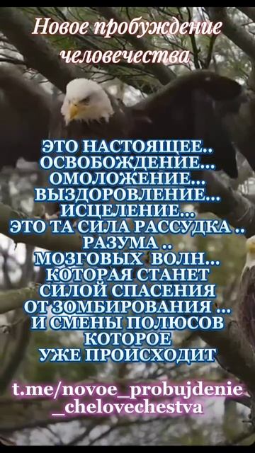 1000000197.mp4
