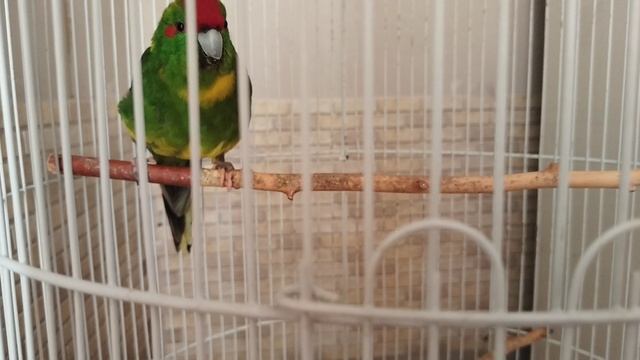 VID_20250605_193245.mp4