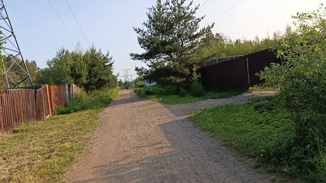Магнолия
