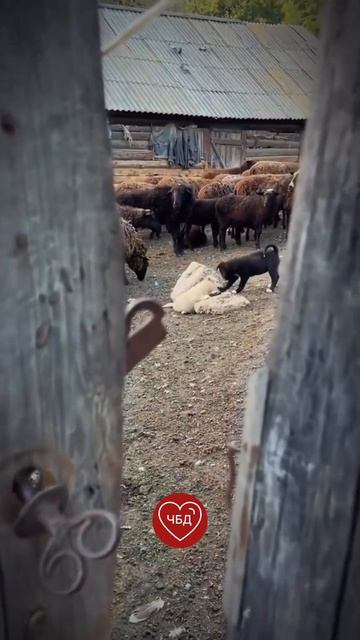 Нигде в мире звезды не светят так ярко, как в городе детства ❤️