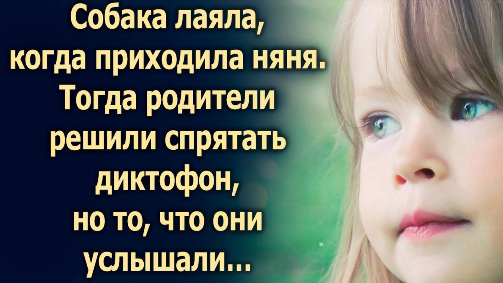 Собака лаяла, когда приходила няня. Тогда родители решили…