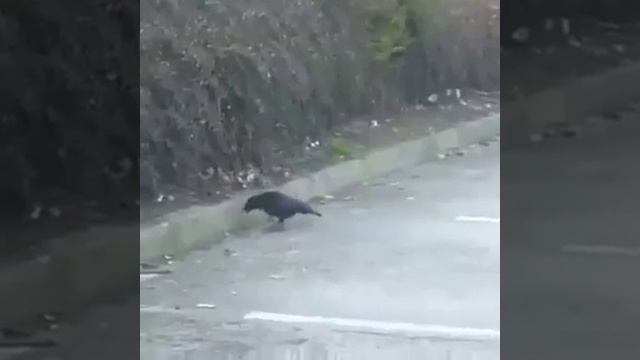 Что так проявляется внутри нас