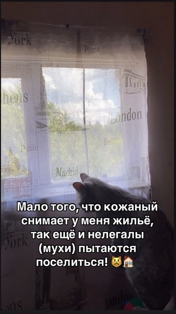 05-06-2025