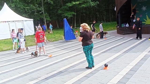 Дог Шоу "Ко мне Мухтар". Собаки показали свои умения и уровень дрессировки.