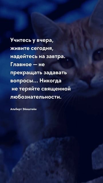 Учитесь у вчера Про жизнь цитаты #мудрость #будущее #ци