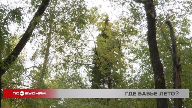 Дождливыми обещают быть ближайшие дни в Иркутской обл