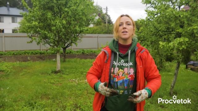 КОМПОСТ ГОТОВ ЗА 60 ДНЕЙ! Как приготовить супербыстрый компост в мешках + тест 5 ускорителей