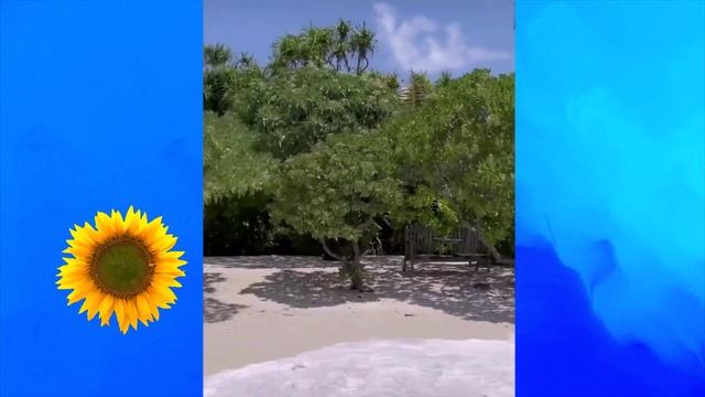 Утро, Море, Пхукет