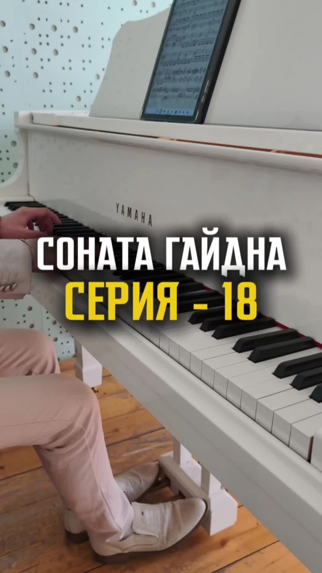 Соната Гайдна - Серия 18