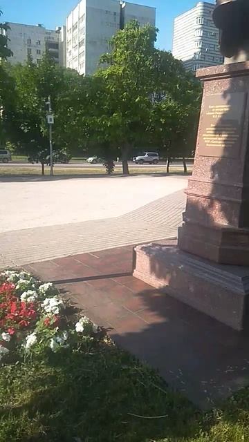 VID_20250605_073512.mp4