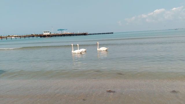 25.06.05