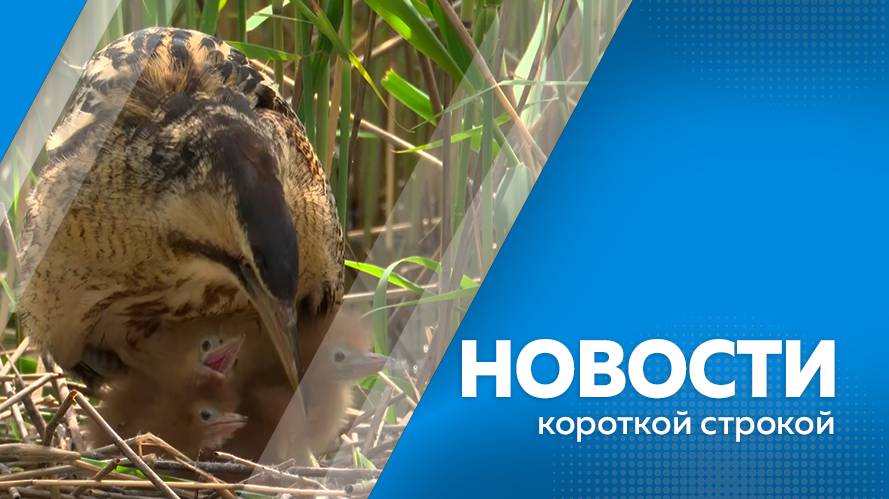 Новости короткой строкой 5.06.2025г.