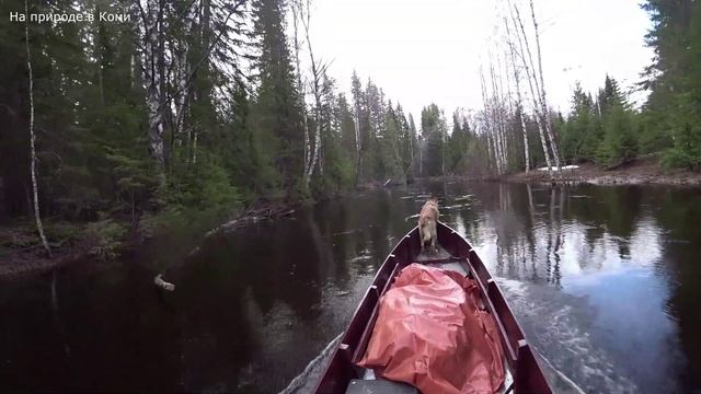 Уехали в поход в тайгу на несколько дней. Трудный путь по таёжной речке. 1 серия