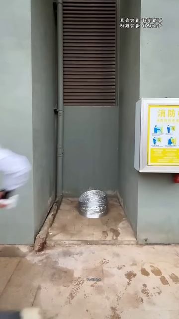 घर में थोड़ा साजिश हुआ है #shortsvideo