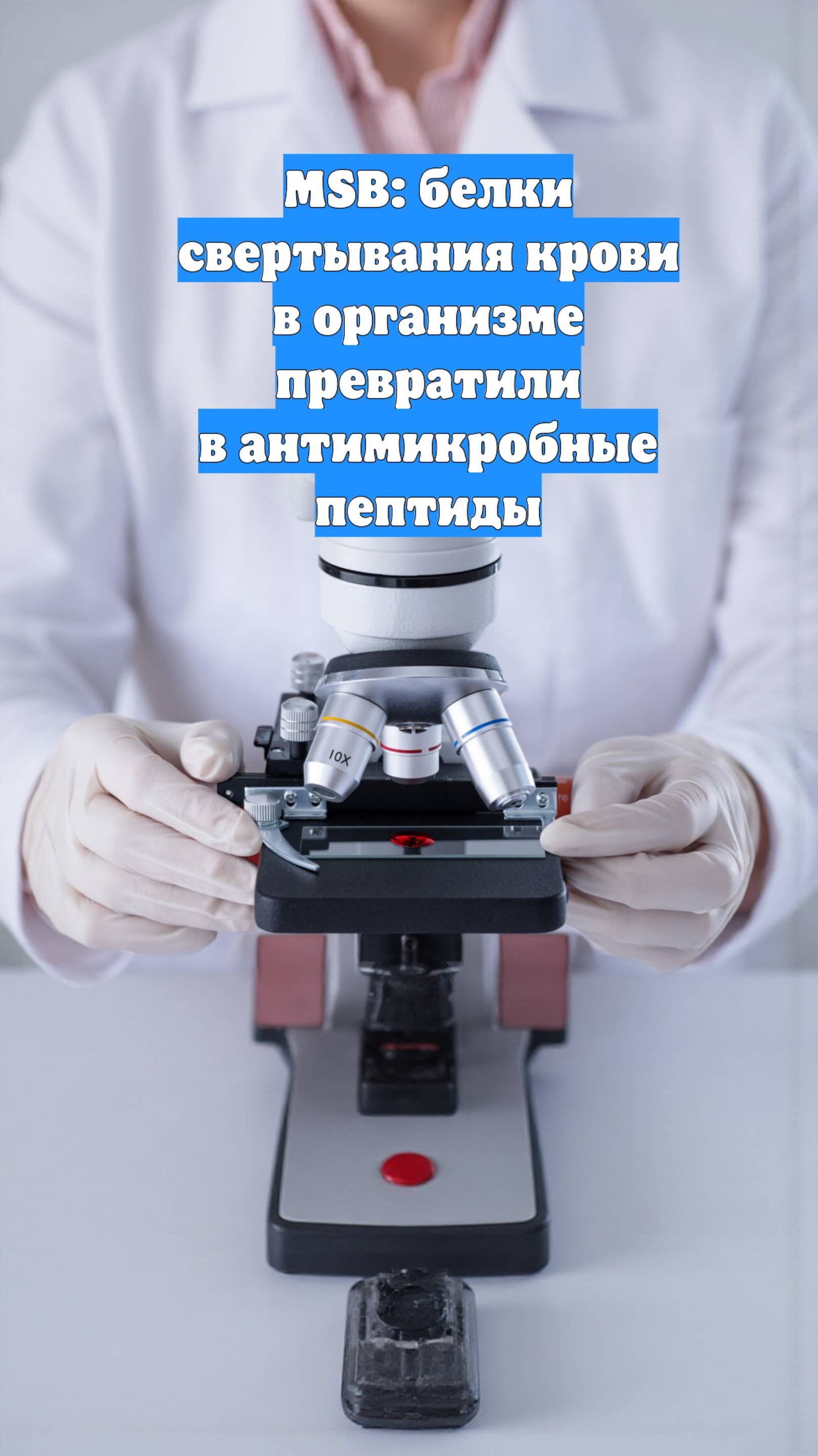 MSB: белки свертывания крови в организме превратили в антимикробные пептиды