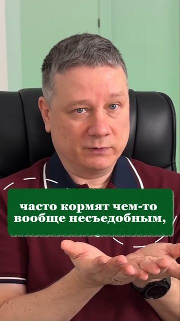 Всегда бери перекус в самолет и вот почему!