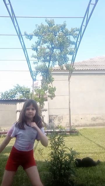 lv_0_20250605142041.mp4