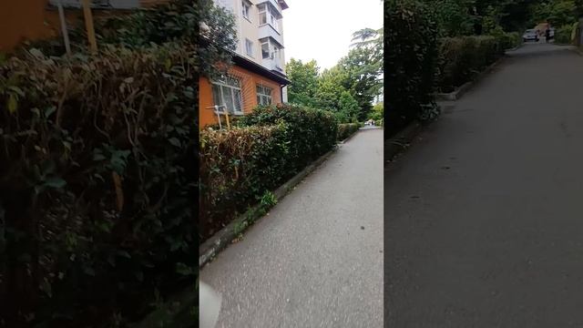 3кв-конституции36