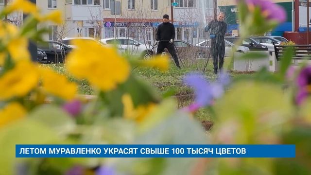 "Новости Муравленко. Главное за день", 05 июня 2025 г.
