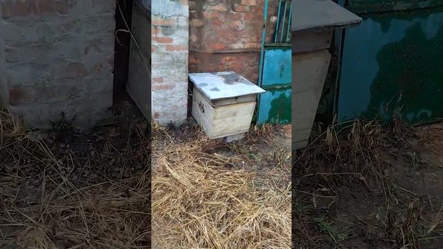 Беседка планы на постройку