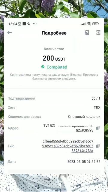 Муж заманил меня в секту Мавроди. Теперь надо думать к?