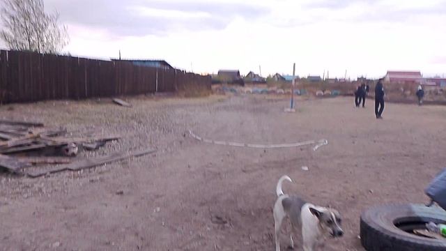 1000010494.mp4