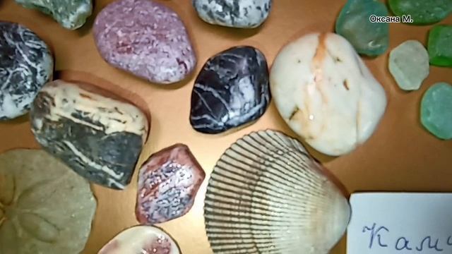 Камушки, ракушки, стекляшки из путешествий.mp4