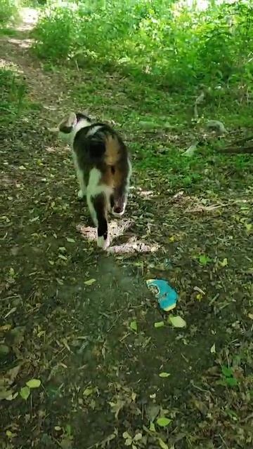 1000071125.mp4
