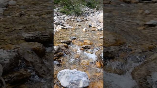 1000083209.mp4