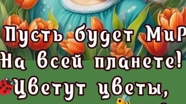 трансляцыя